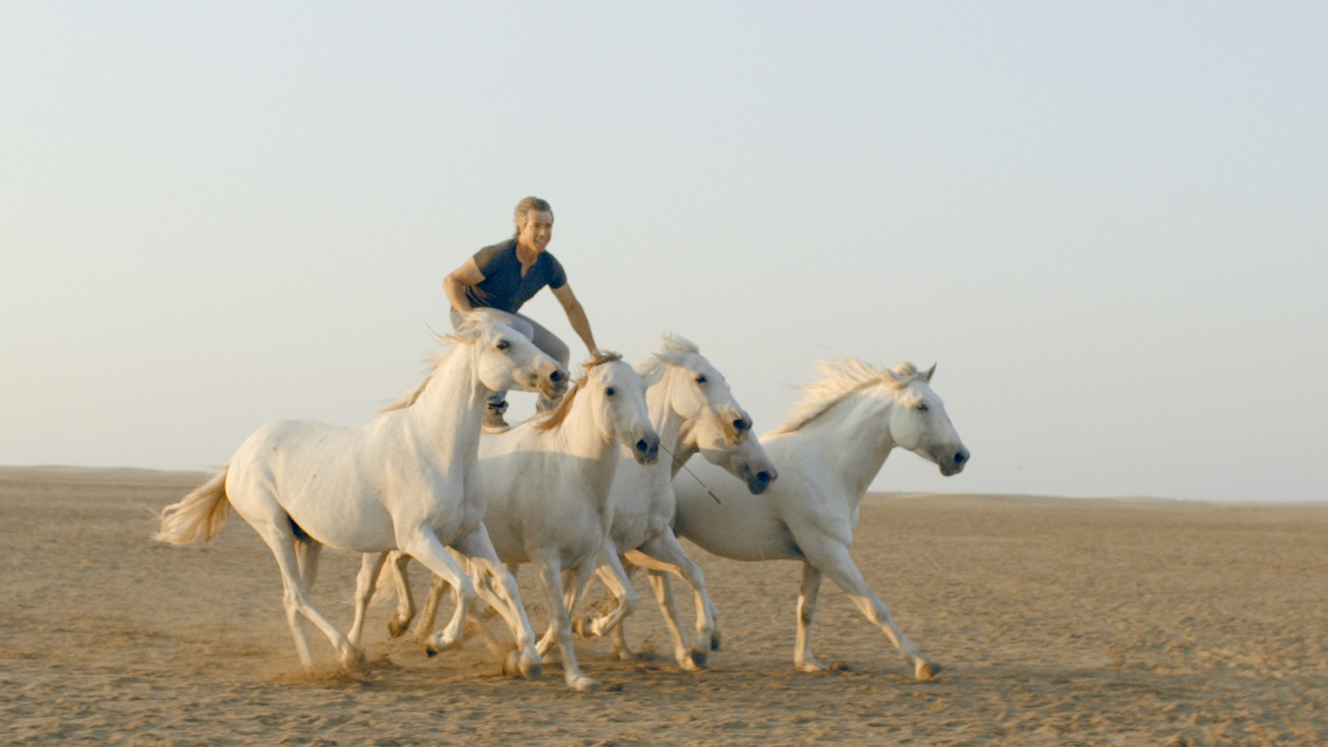 short-film-the-horse-whisperer-red-earth-studio